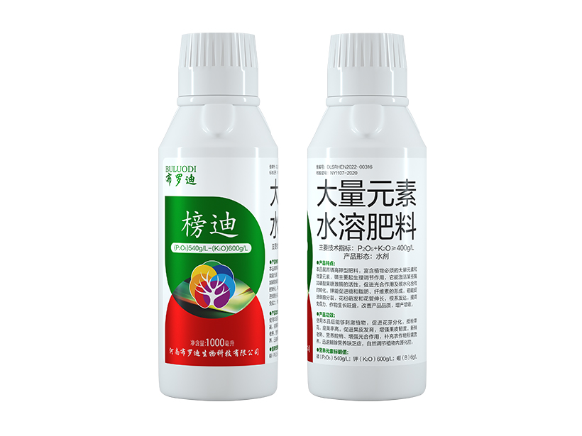 榜迪 (1).jpg