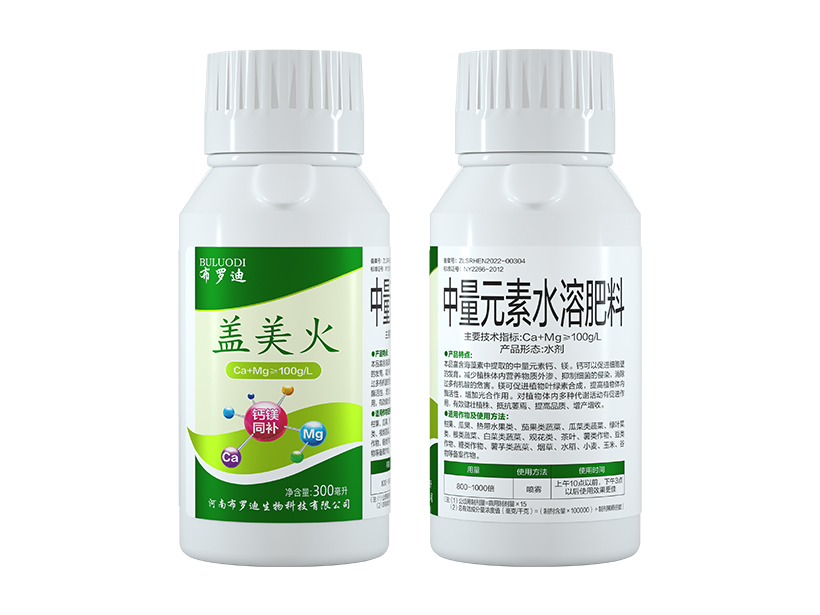 盖美火 (1).jpg